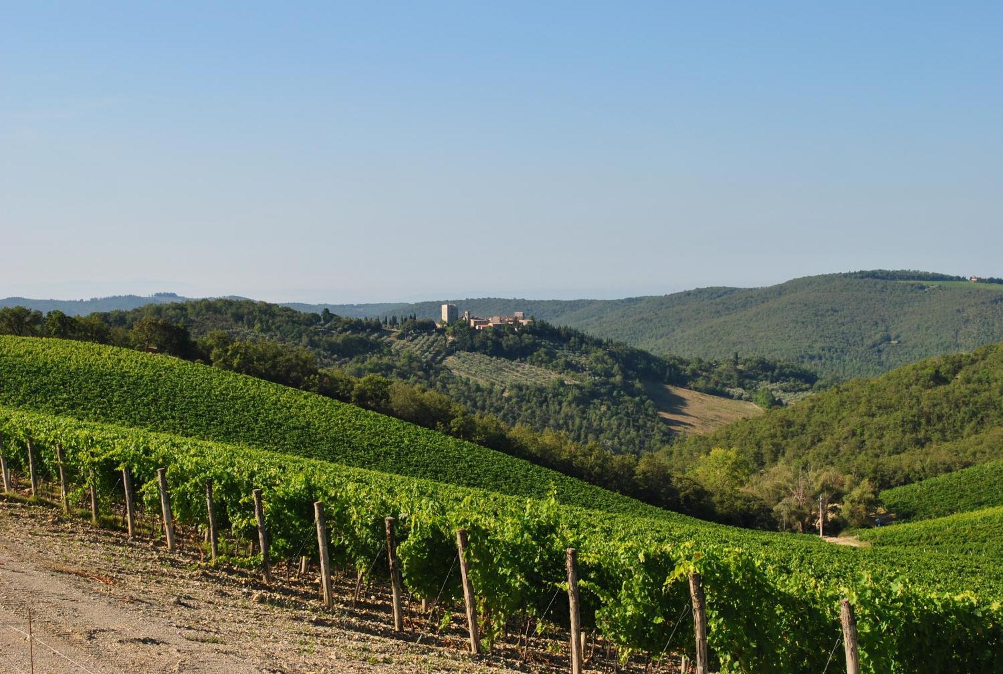 Castello di Spaltenna Exclusive Resort&Spa Gaiole in Chianti Esterno foto